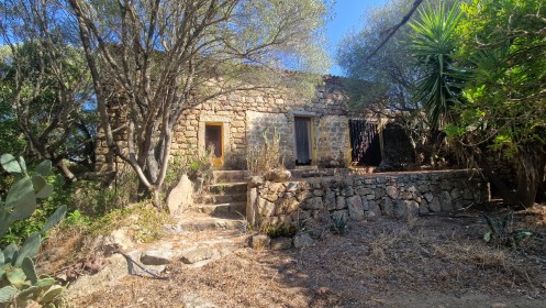 listing-small