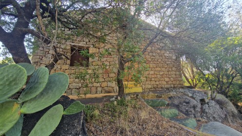 listing-small